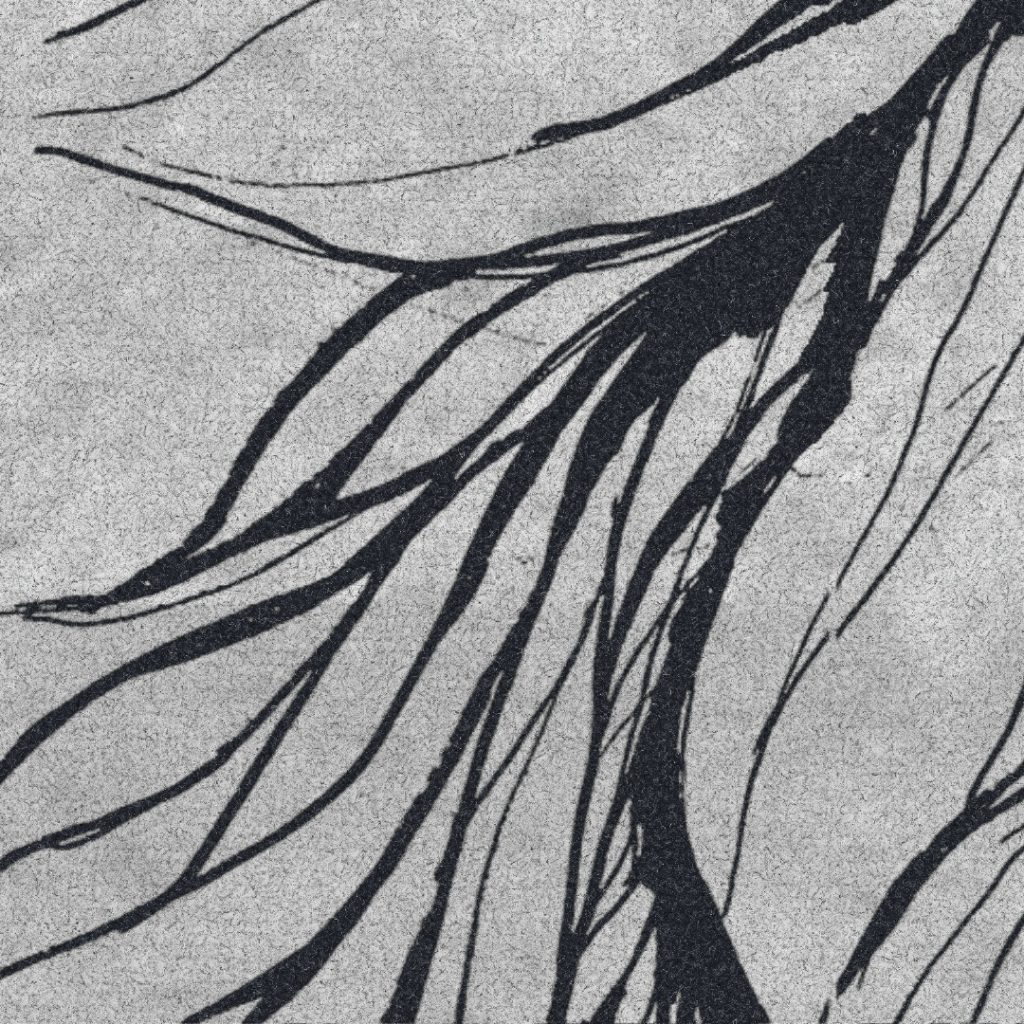 Canvas VN44329 textura