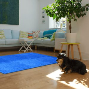 Diperz Grass Interior