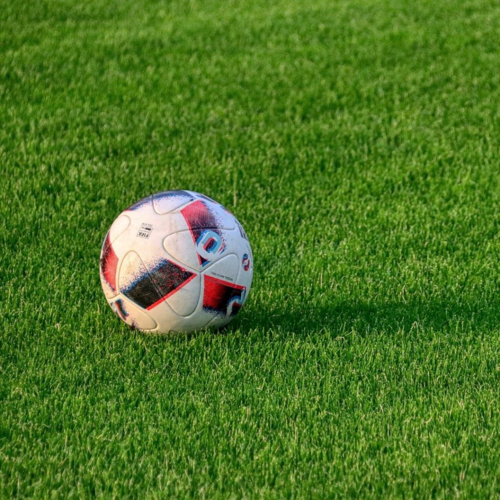Grama Deportiva Mixed Grass